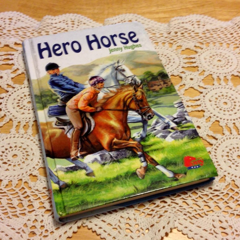 Book Sale! 3 for $10! Pony Book, Middle Grades, Hero Horse